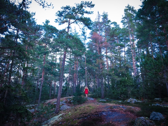 Skogsfotografering Stockholm